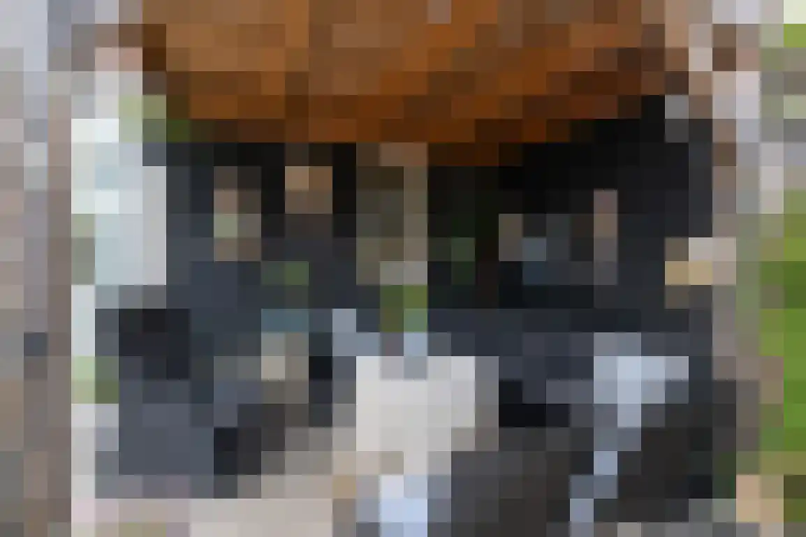 Sweelinckstraat 5 Dirksland thumbnail 28