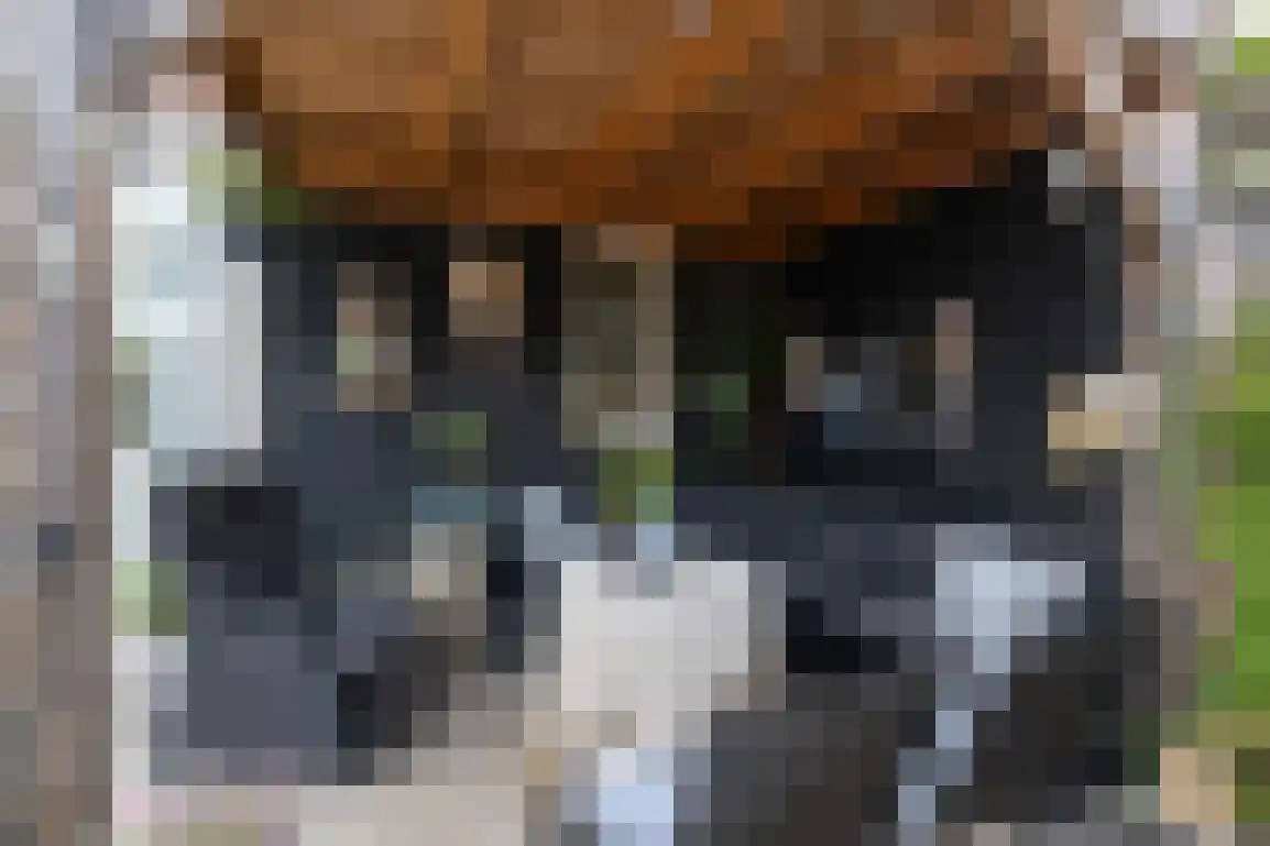 Sweelinckstraat 5 Dirksland thumbnail 32