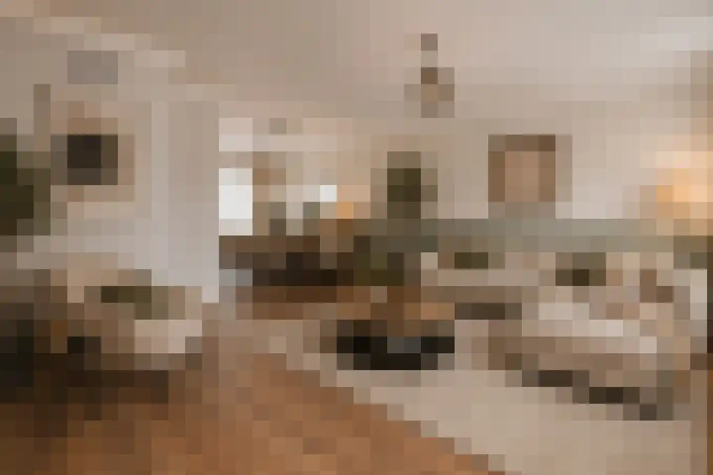 Sweelinckstraat 5 Dirksland thumbnail 6