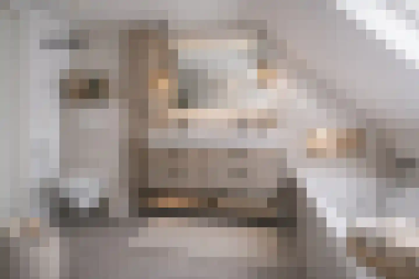 Sweelinckstraat 5 Dirksland thumbnail 9