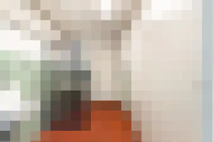 Sweelinckstraat 5 Heemskerk thumbnail 12