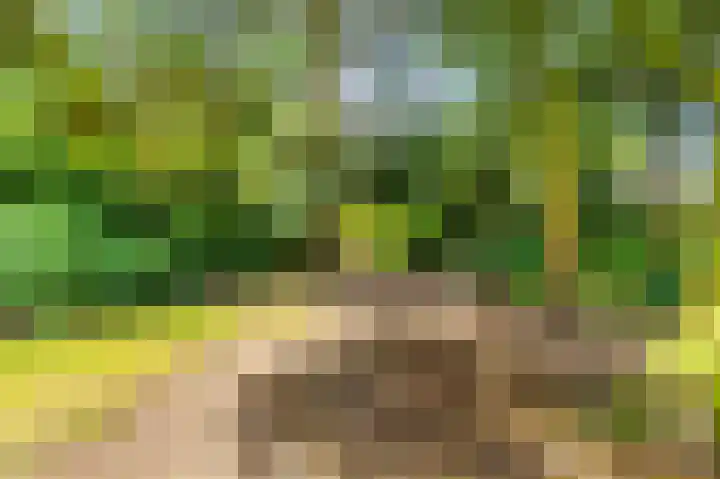 Sweelinckstraat 5 Heemskerk thumbnail 36