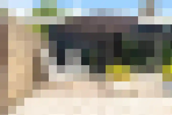 Sweelinckstraat 5 Heemskerk thumbnail 38