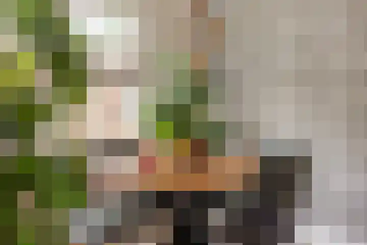 Sweelinckstraat 50 Losser thumbnail 12