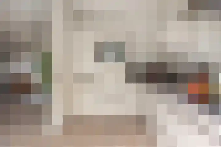 Sweelinckstraat 50 Losser thumbnail 16