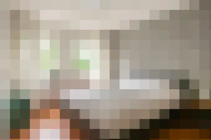 Sweelinckstraat 50 Losser thumbnail 20