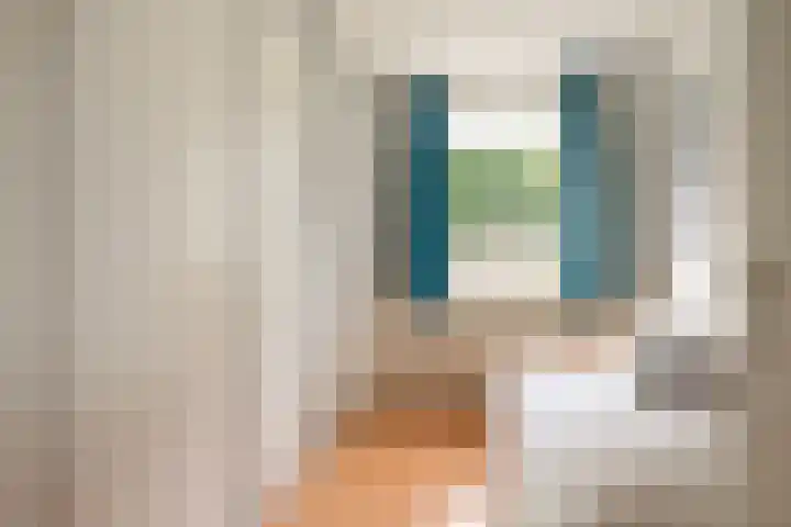 Sweelinckstraat 50 Losser thumbnail 21