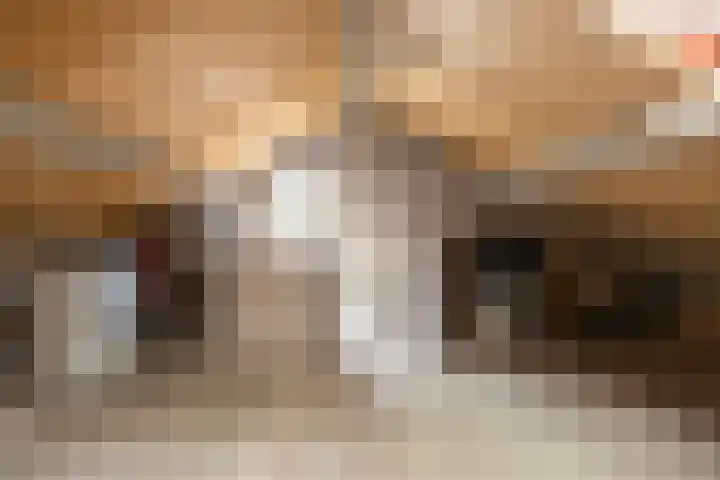 Sweelinckstraat 50 Losser thumbnail 24