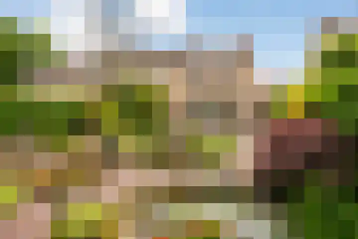 Sweelinckstraat 50 Losser thumbnail 25