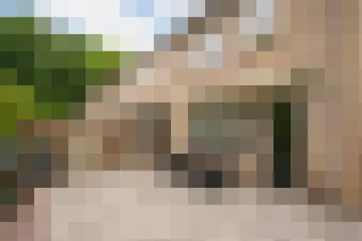Sweelinckstraat 50 Losser thumbnail 28