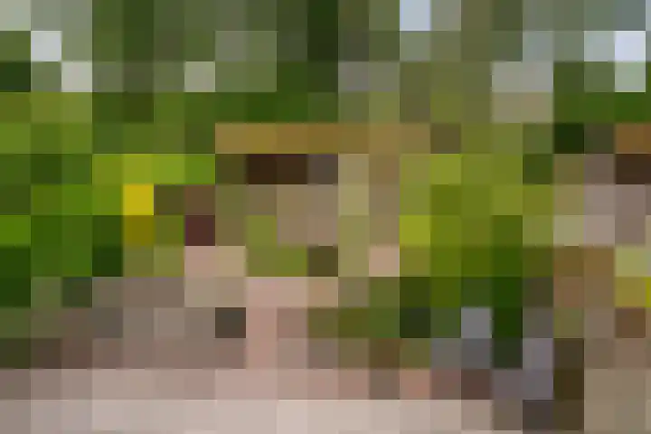 Sweelinckstraat 50 Losser thumbnail 29
