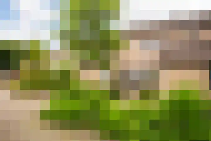 Sweelinckstraat 50 Losser thumbnail 30