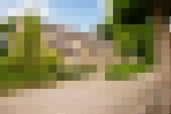 Sweelinckstraat 50 Losser thumbnail 31