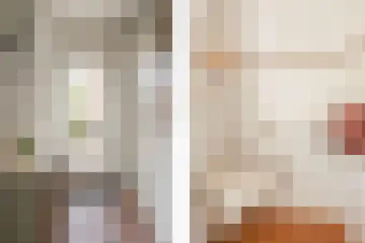 Sweelinckstraat 50 Losser thumbnail 6