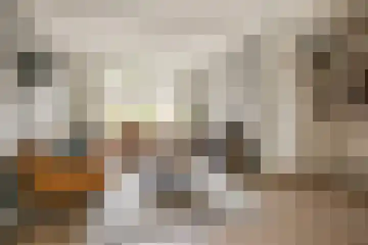 Sweelinckstraat 50 Losser thumbnail 8
