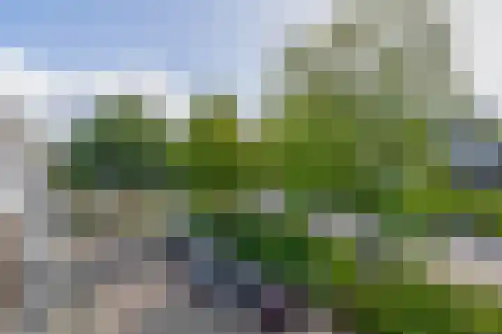 Sweelinckstraat 50 Ridderkerk thumbnail 33