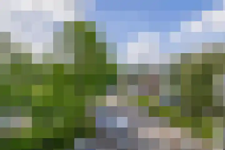 Sweelinckstraat 50 Ridderkerk thumbnail 34