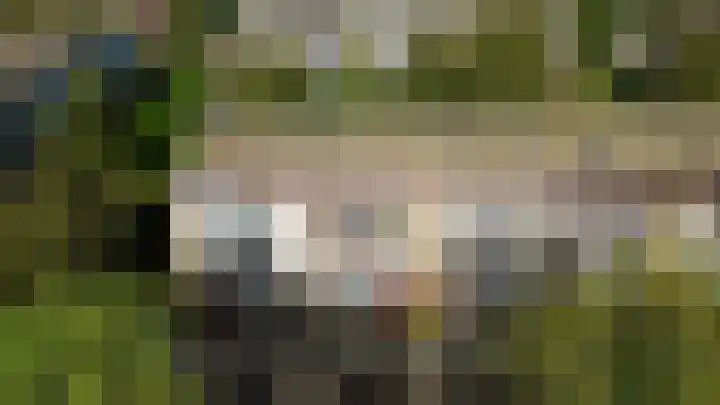 Sweelinckstraat 50 Ridderkerk thumbnail 36