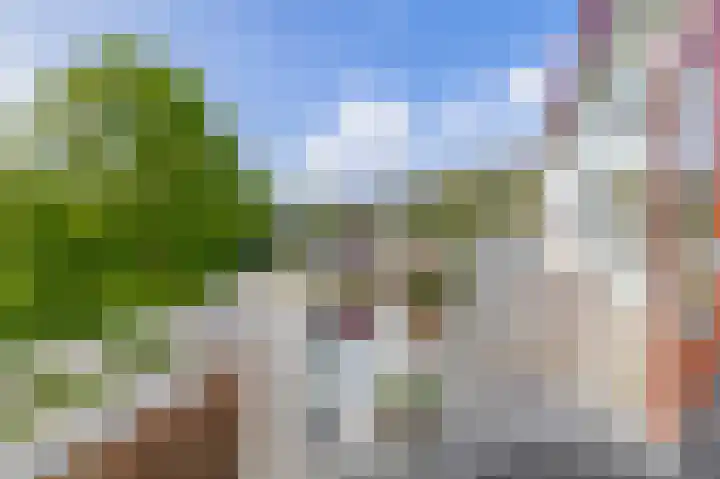 Sweelinckstraat 50 Ridderkerk thumbnail 4