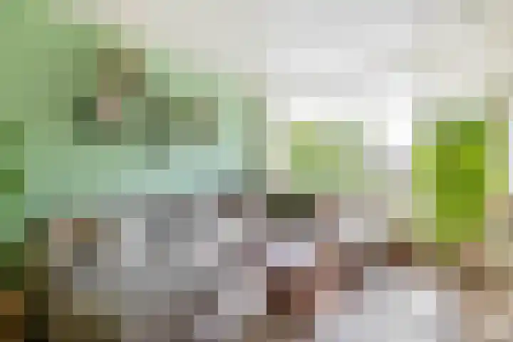 Sweelinckstraat 50 Ridderkerk thumbnail 7