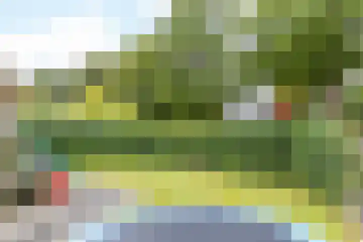 Sweelinckstraat 51 Brunssum thumbnail 30