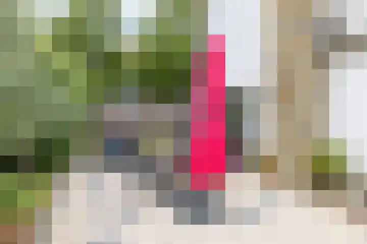 Sweelinckstraat 51 Brunssum thumbnail 31