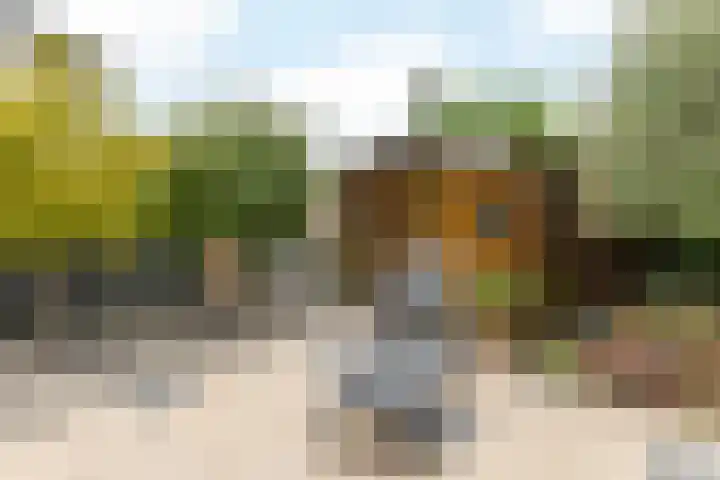 Sweelinckstraat 51 Brunssum thumbnail 33