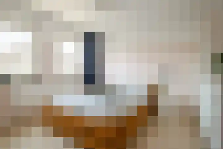Sweelinckstraat 6 Losser thumbnail 19