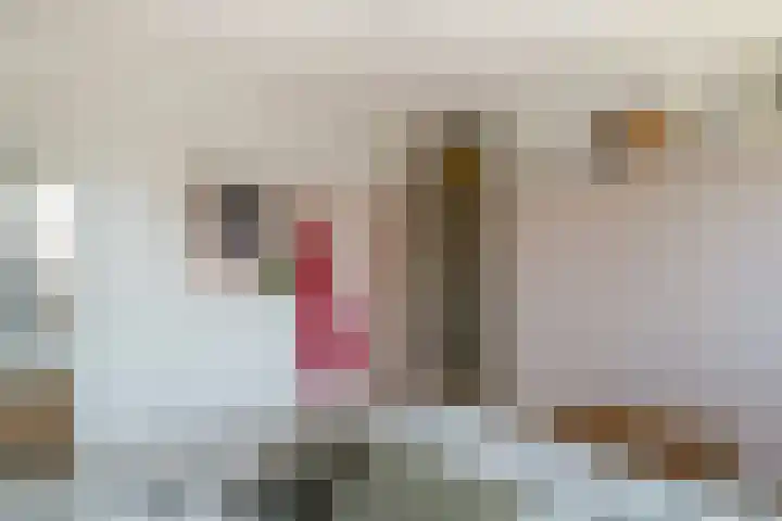 Sweelinckstraat 6 Losser thumbnail 20