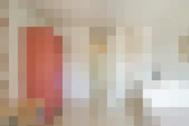 Sweelinckstraat 6 Losser thumbnail 22