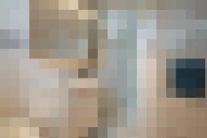 Sweelinckstraat 6 Losser thumbnail 28