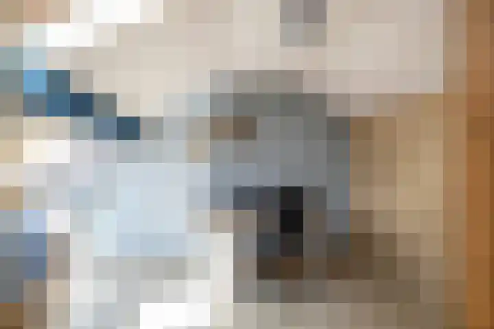 Sweelinckstraat 6 Losser thumbnail 29