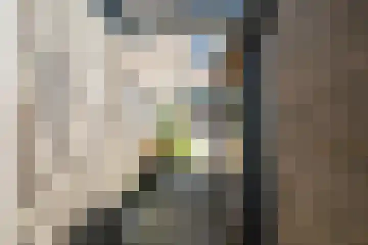 Sweelinckstraat 6 Losser thumbnail 31