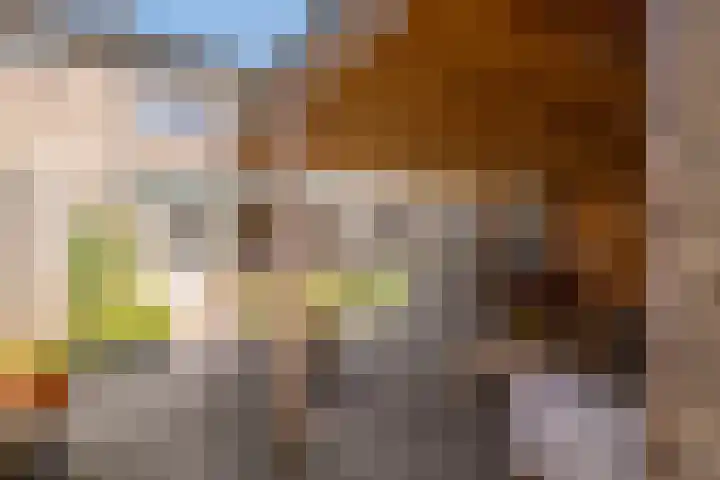 Sweelinckstraat 6 Losser thumbnail 32