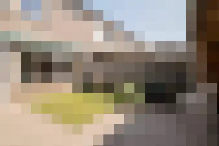 Sweelinckstraat 6 Losser thumbnail 33