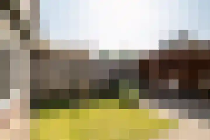 Sweelinckstraat 6 Losser thumbnail 34
