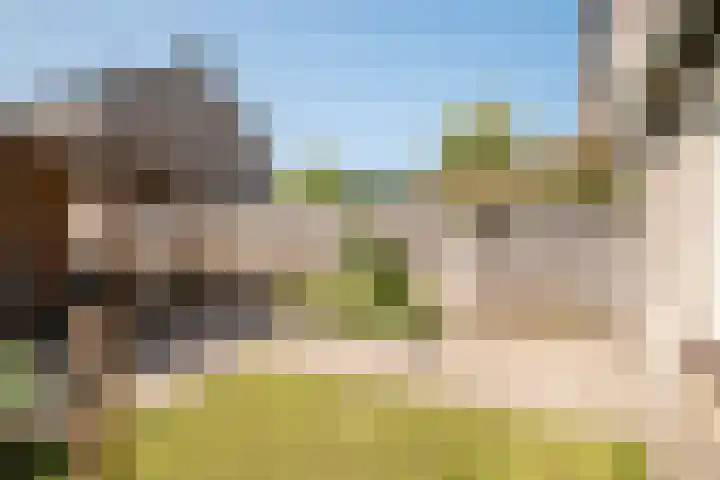 Sweelinckstraat 6 Losser thumbnail 35