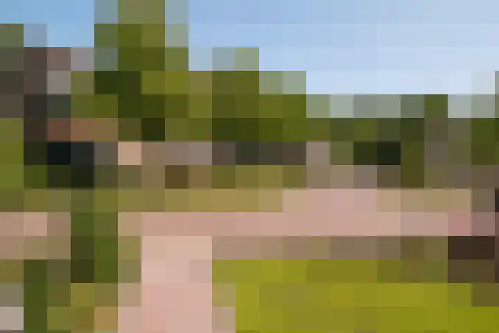 Sweelinckstraat 6 Losser thumbnail 36