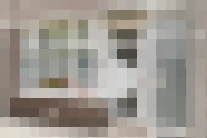 Sweelinckstraat 71 Vlaardingen thumbnail 5