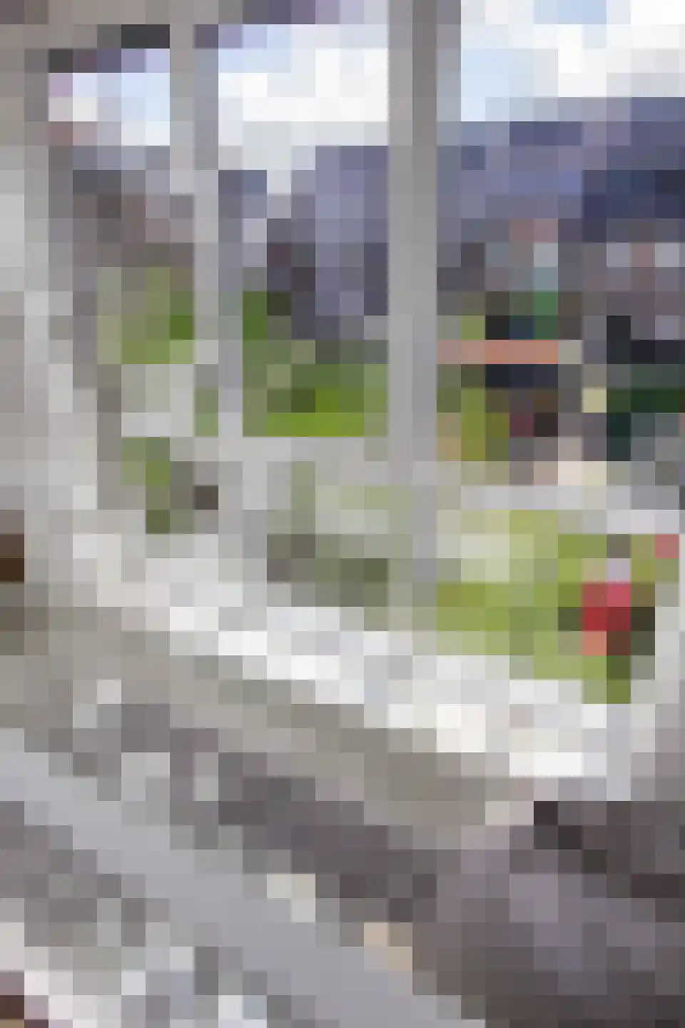 Sweelinckstraat 74 Haarlem thumbnail 22