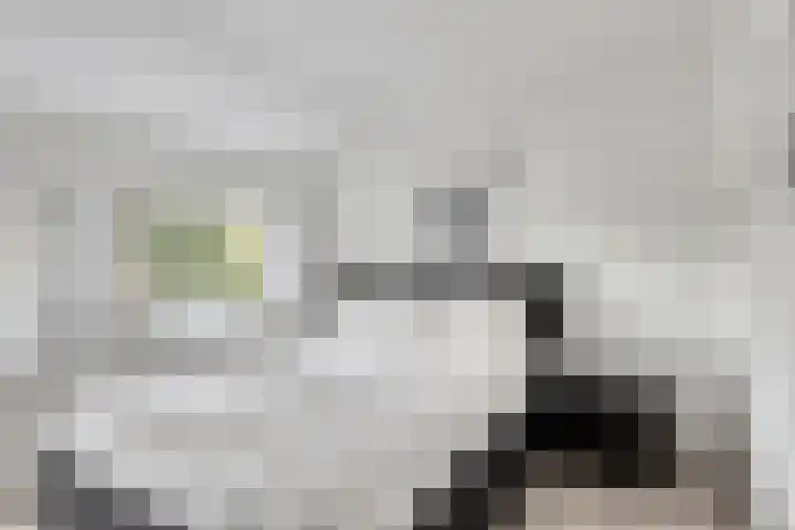 Sweelinckstraat 8 Heerlen thumbnail 28