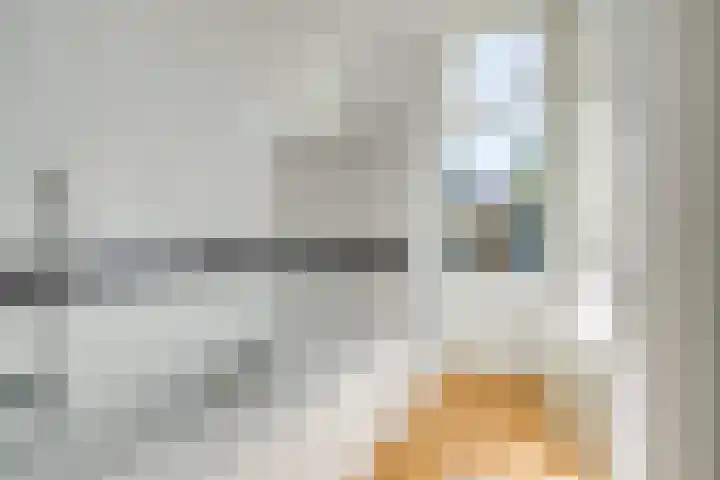 Sweelinckstraat 9 Utrecht thumbnail 20