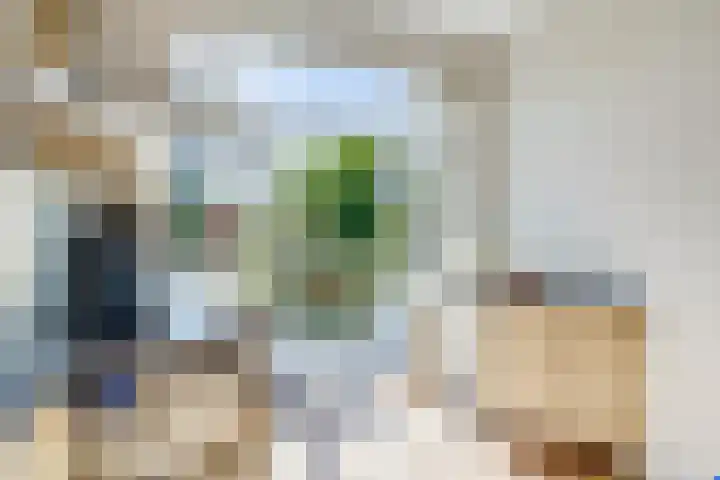 Sweelinckstraat 9 Utrecht thumbnail 39
