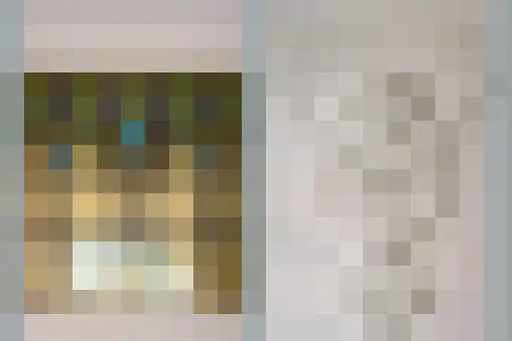 Sweelinckstraat 9 Utrecht thumbnail 4