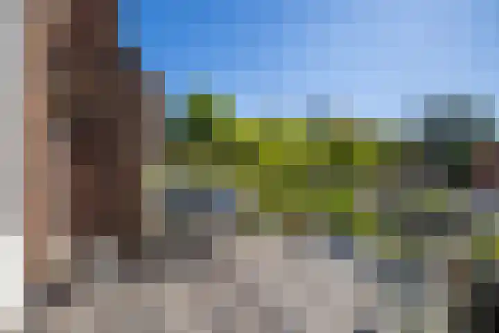 Sweelinckstraat 9 Utrecht thumbnail 5