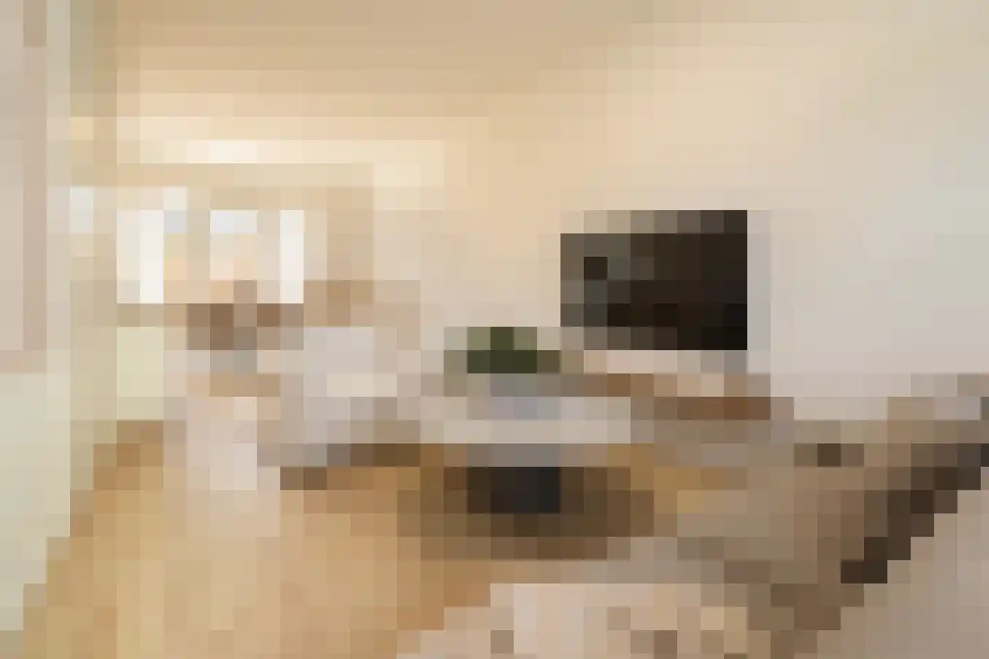 Sweersstraat 2 Nijmegen thumbnail 8