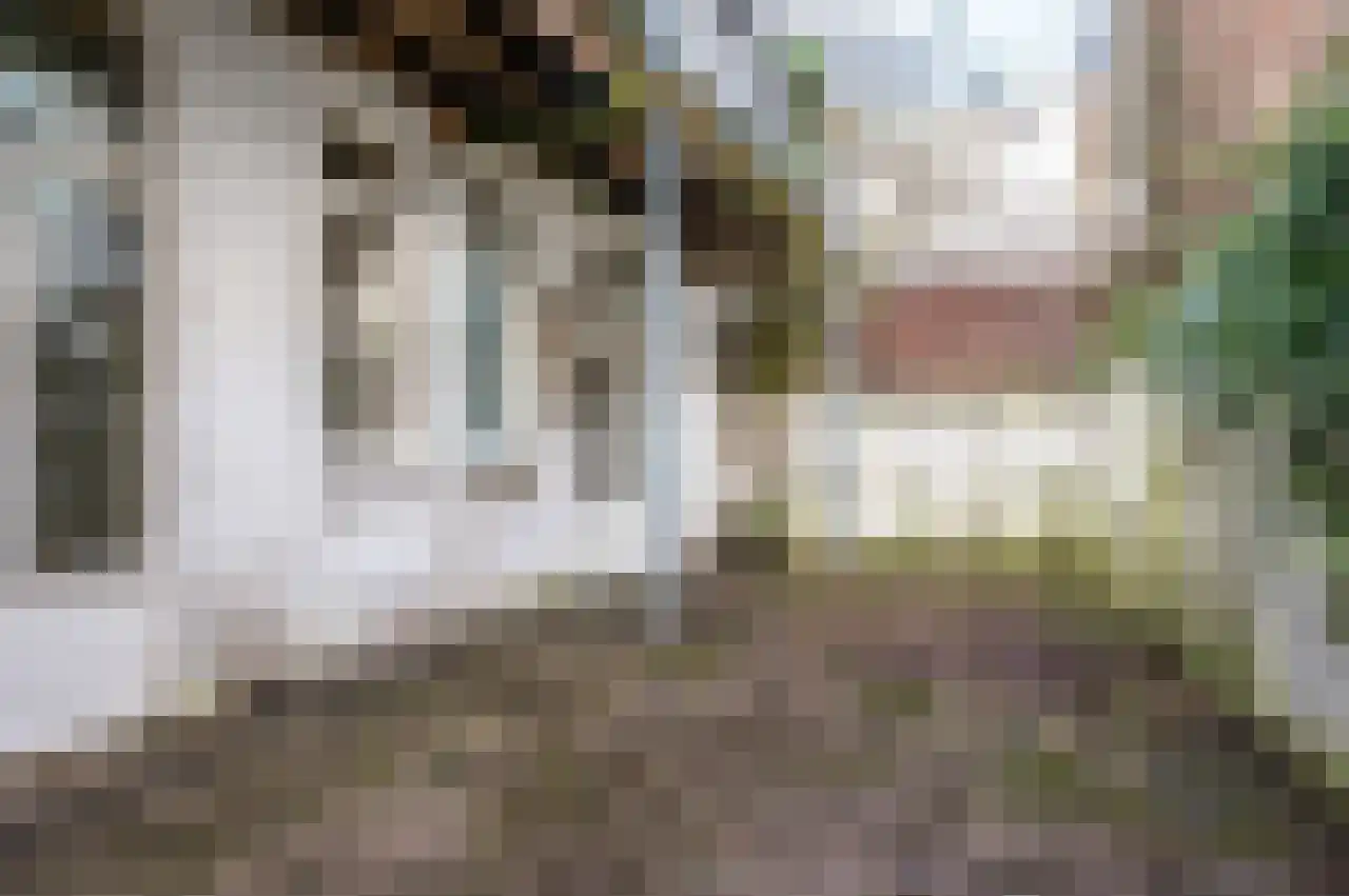 Sweersstraat 5 Nijmegen thumbnail 24