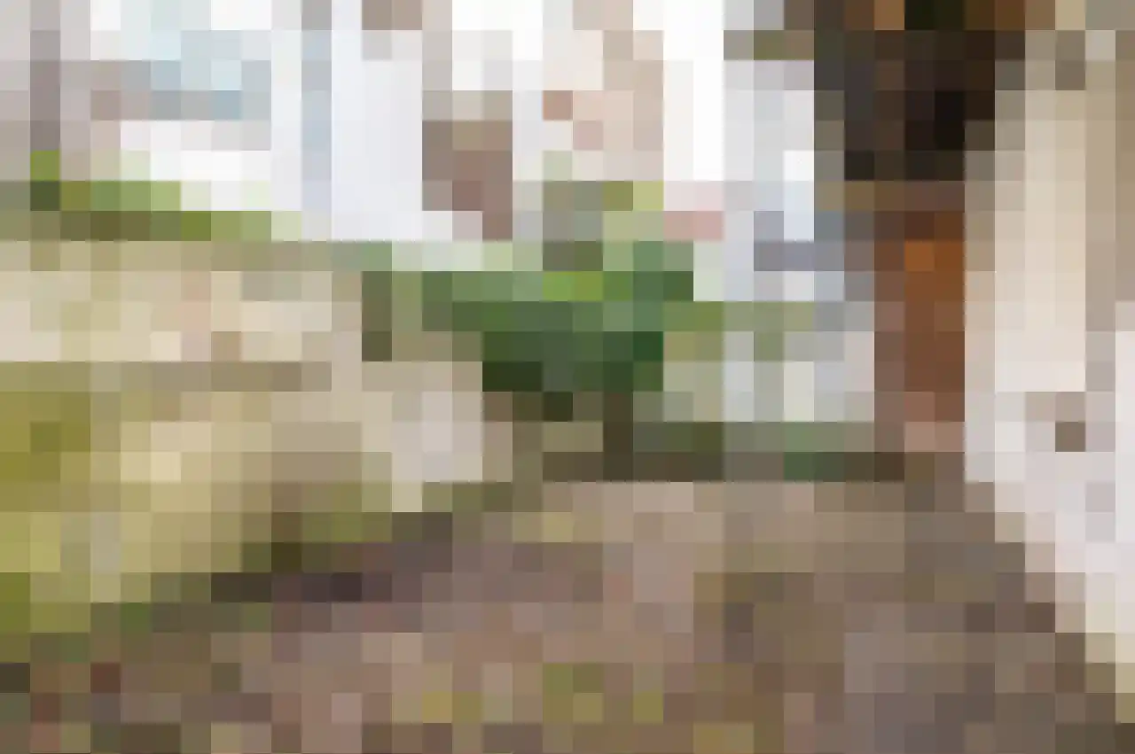 Sweersstraat 5 Nijmegen thumbnail 25