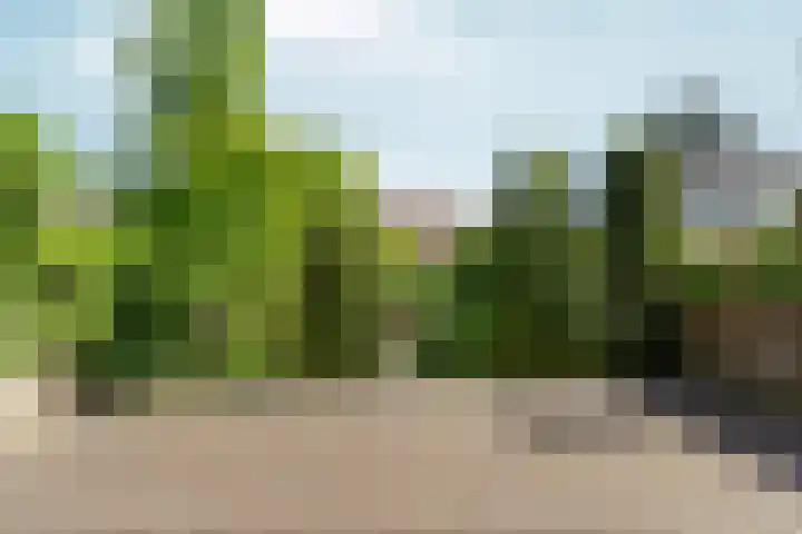 Sweerts de Landasstraat 36 Arnhem thumbnail 50