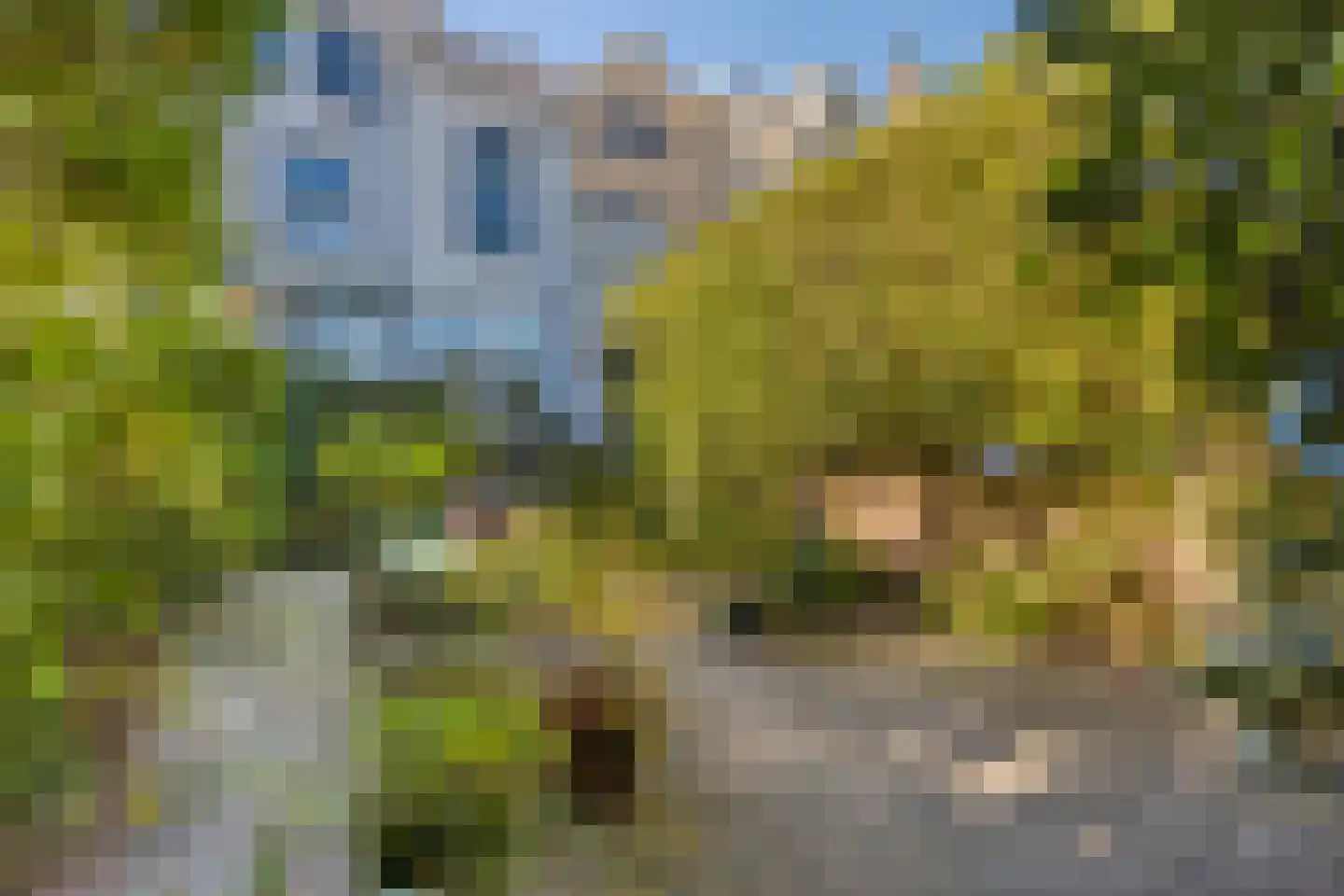 Sweerts de Landasstraat 44 Arnhem thumbnail 24